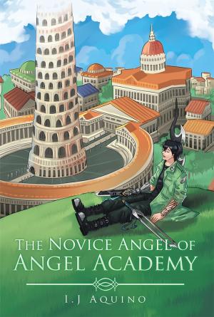 Cover of the book The Novice Angel of Angel Academy by Neville Goedhals