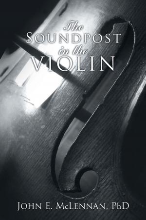 Cover of the book The Soundpost in the Violin by Des Geddes