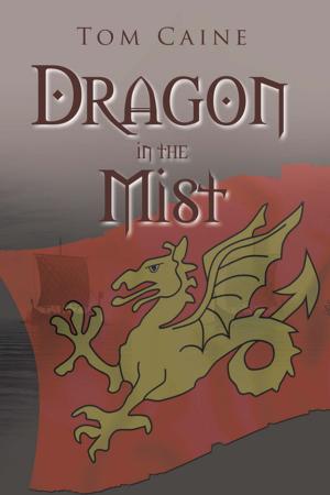 Cover of Dragon in the Mist by Tom Caine, Xlibris AU