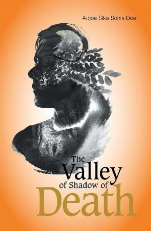 Cover of the book The Valley of Shadow of Death by De-Witt A. Herd