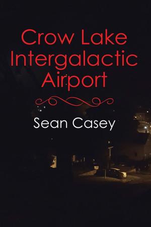 Cover of the book Crow Lake Intergalactic Airport by Greg Cox, John Gregory Betancourt