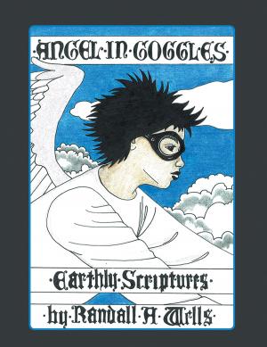 Cover of the book Angel in Goggles by Corina Zalace