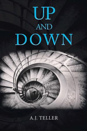 Cover of the book Up and Down by Allen B. Grose IV