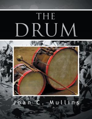 Cover of the book The Drum by Anna Lee Nelson