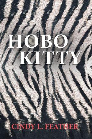 Cover of the book Hobo Kitty by John Stark