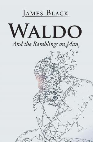 Cover of the book Waldo by Jacqueline Prydie
