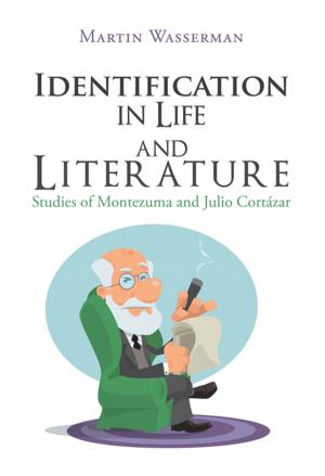 bigCover of the book Identification in Life and Literature by 