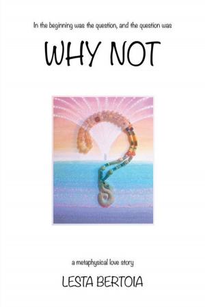 Cover of the book Why Not by Albert F. Schmid