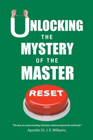 Cover of the book Unlocking the Mystery of the Master Reset by Churnet Winborne