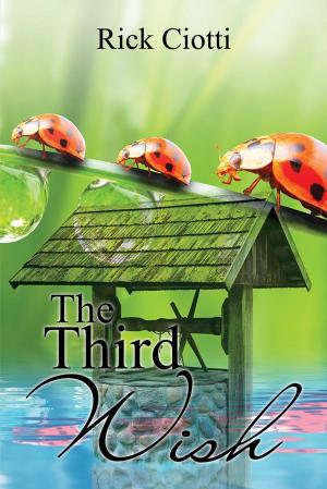 Cover of the book The Third Wish by Philip Smith