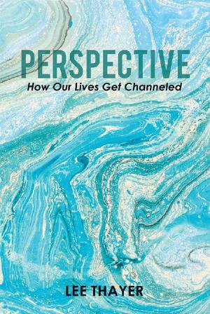 Cover of the book Perspective by Vidal Joy