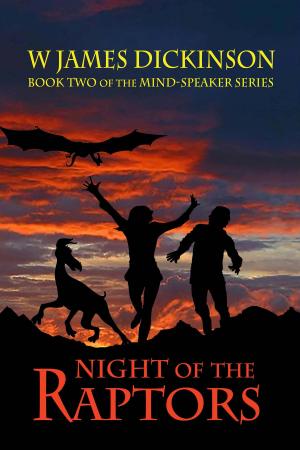 Cover of the book Night of the Raptors by Robert Nichols