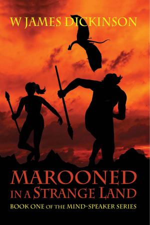 bigCover of the book Marooned in a Strange Land by 