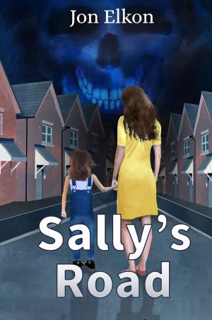Cover of the book Sally's Road by David Layman