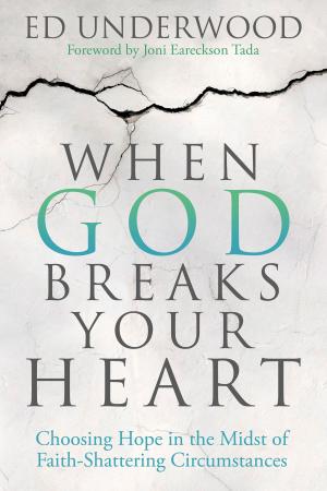 Cover of the book When God Breaks Your Heart by Sue Doody, Michael J. Rosen