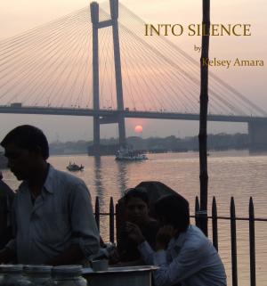Cover of the book Into Silence by Nick Marsden