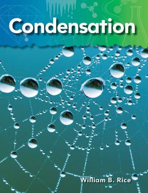 Cover of the book Condensation by Timothy J. Bradley