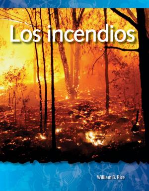 Cover of the book Los incendios by Sharon Coan
