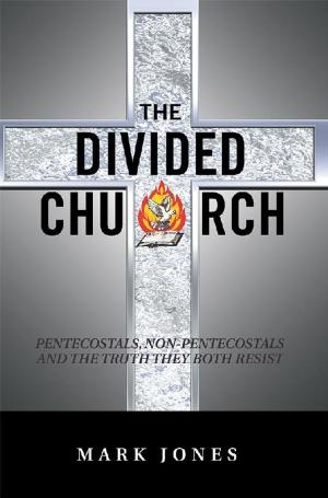 Cover of the book The Divided Church by Judith Hannemann