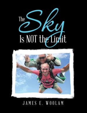 Book cover of The Sky Is Not the Limit
