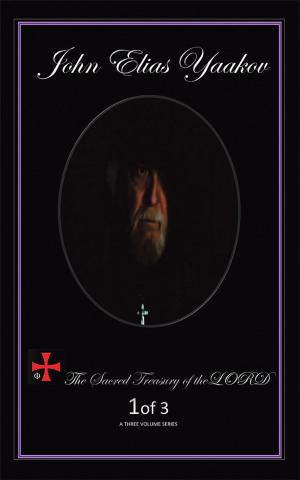 Cover of the book The Sacred Treasury of the Lord by Jeff Ireland