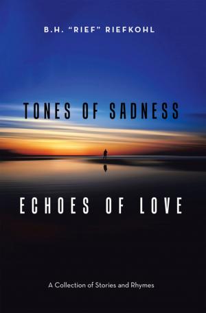 Book cover of Tones of Sadness Echoes of Love