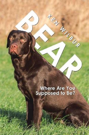 Book cover of Bear