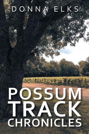 Cover of the book Possum Track Chronicles by Olanda Carr Jr.