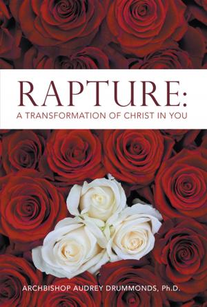 Cover of the book Rapture by N. R. De Witte