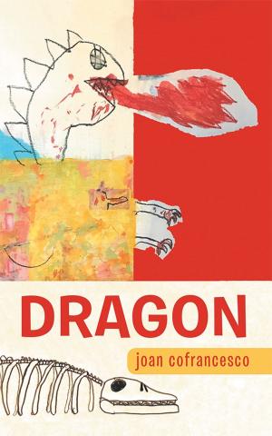 Cover of the book Dragon by Paul Fleisher, Genevieve Siegel-Hawley