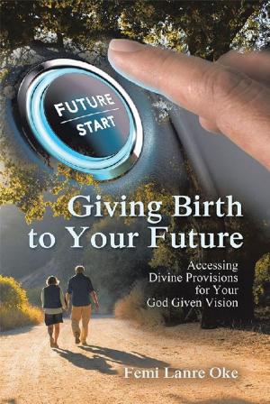 Cover of the book Giving Birth to Your Future by Richard Wright