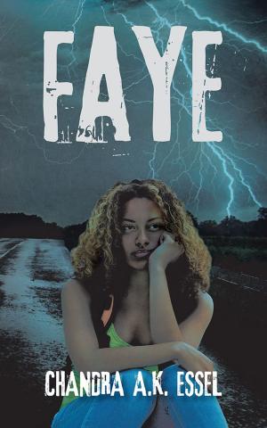 Cover of the book Faye by J.B. Vample