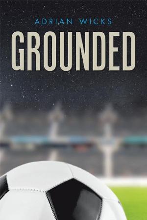 Cover of the book Grounded by Sheppard Benet Kominars