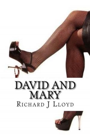 Book cover of David and Mary