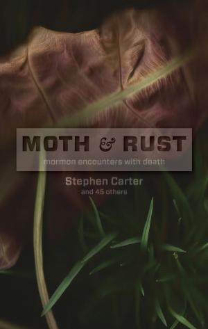 Cover of the book Moth and Rust by Grant Palmer