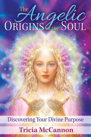 Cover of the book The Angelic Origins of the Soul by Monica Kapur