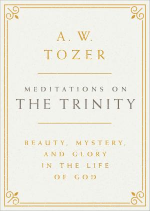 Book cover of Meditations on the Trinity