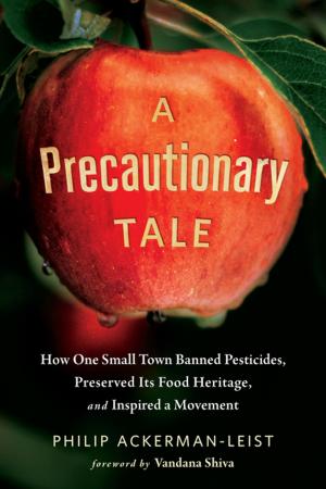 Cover of the book A Precautionary Tale by Jonathan Tasini