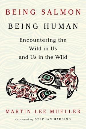 Cover of Being Salmon, Being Human