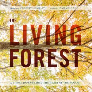 Cover of the book The Living Forest by Hielke De Jong, Walter De Jong, Joseph B. Sieczka