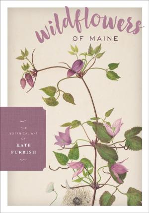 Cover of the book Wildflowers of Maine by Greg Zielinski