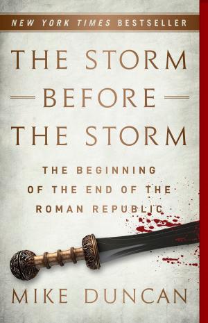 Cover of the book The Storm Before the Storm by Peter Duffy