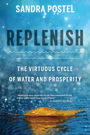 Cover of the book Replenish by The The Worldwatch Institute