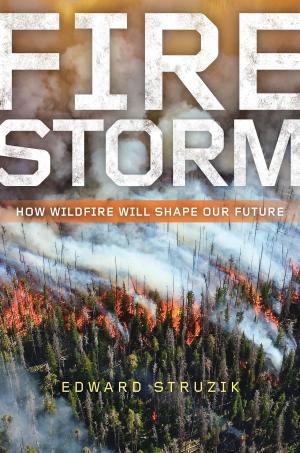 Cover of the book Firestorm by Mark Jerome Walters