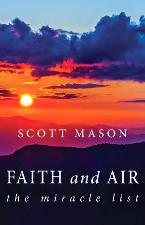 Cover of the book Faith and Air by Betty Turnbull