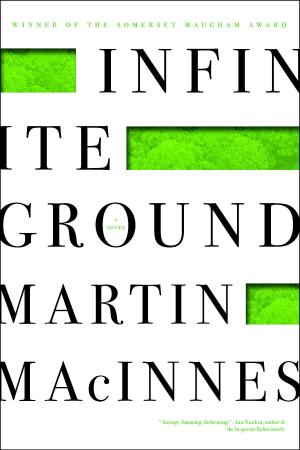 Book cover of Infinite Ground