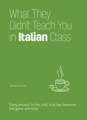 Book cover of What They Didn't Teach You in Italian Class