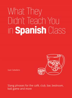 Book cover of What They Didn't Teach You in Spanish Class