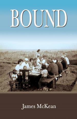 Cover of the book Bound by Judith J. Hurwich