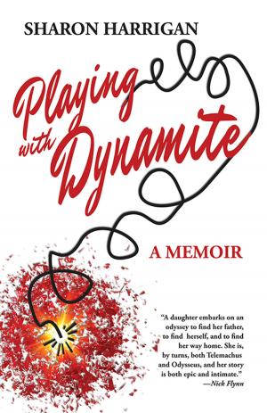 Cover of Playing with Dynamite